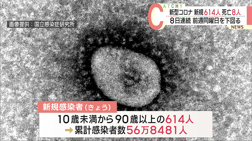 沖縄県　きょうの新型コロナ新規感染者