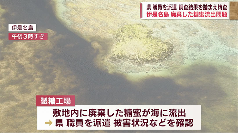 伊是名島の糖蜜流出　県が調査