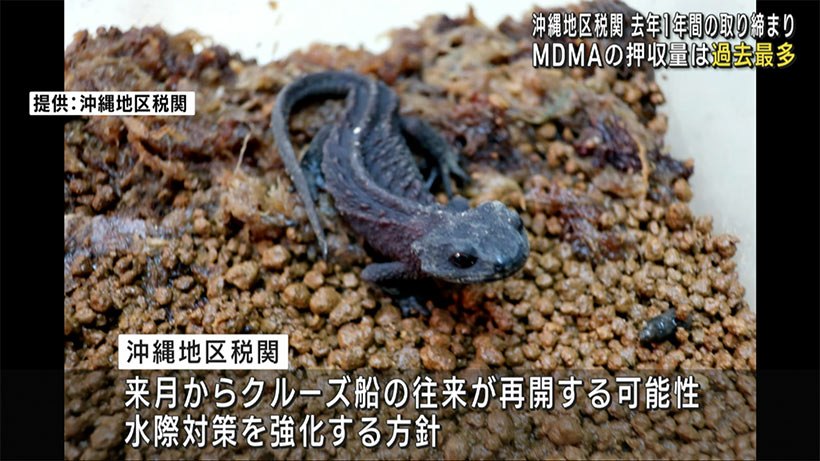 沖縄地区税関　去年のＭＤＭＡ押収量は過去最多
