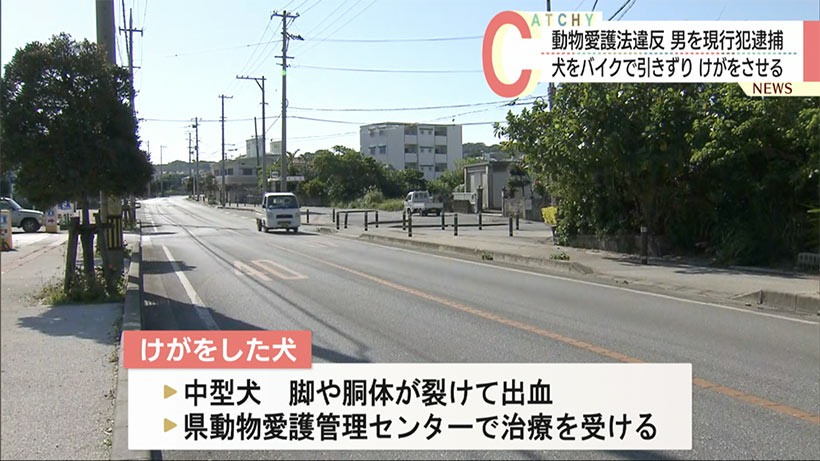 バイクで犬を引きずって虐待　飼い主の男を現行犯逮捕
