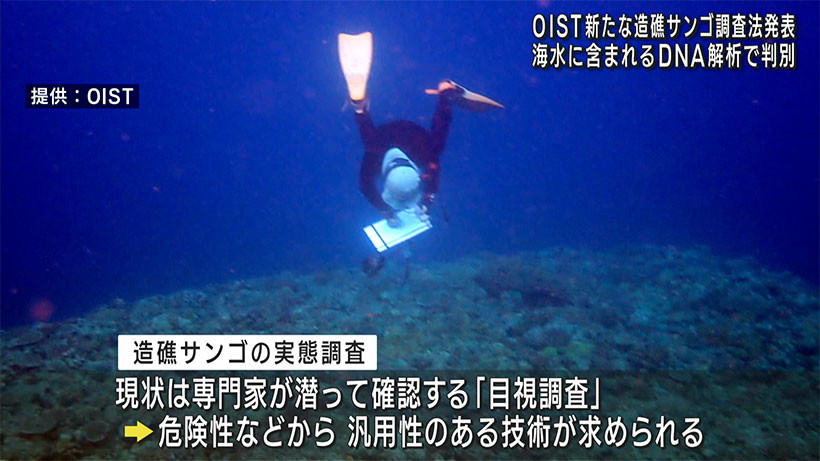 OISTが新たな造礁サンゴ調査法を発表