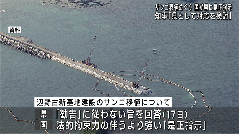 辺野古新基地　サンゴ移植めぐり農水大臣が是正指示