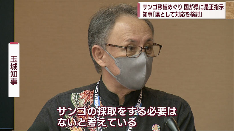 辺野古新基地　サンゴ移植めぐり農水大臣が是正指示