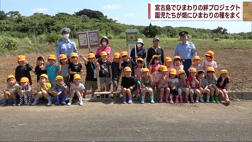 宮古島でひまわりの絆プロジェクト