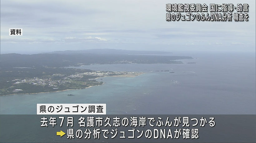 辺野古新基地・環境監視委／ジュゴンのふん発見に「県の分析精査を」