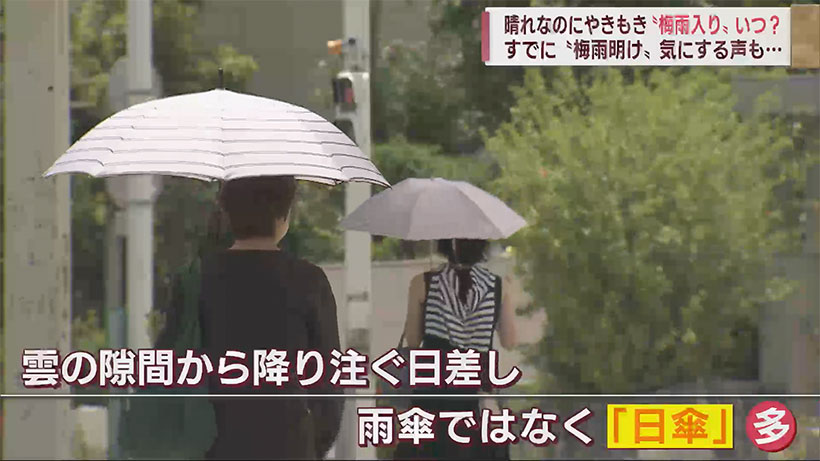 もう５月中旬なのにまだ訪れず　”梅雨入り”いつ？