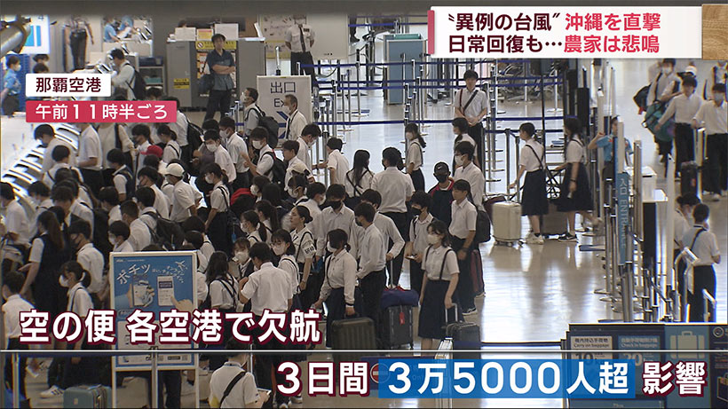 異例の台風２号が沖縄を直撃　日常生活は回復も農家に打撃