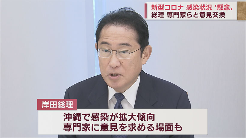 岸田総理が新型コロナの専門家と意見交換