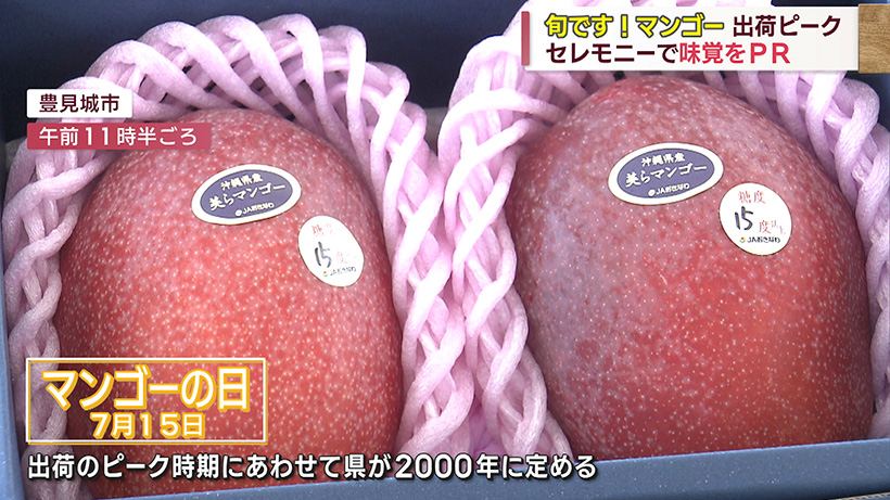 沖縄県産マンゴーが出荷ピーク セレモニーで旬の味をPR