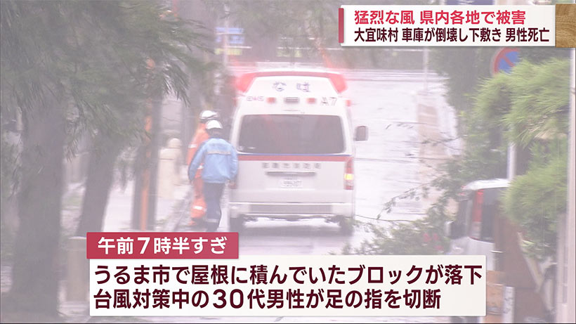 台風６号　大宜味村では車庫倒壊で男性死亡　１００年以上の木も倒木