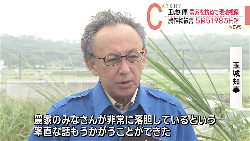 玉城知事が農家の台風被害を視察　農作物被害５億５０００万円超