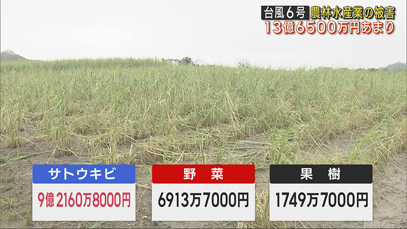 沖縄県内全域に猛威ふるった台風６号 農作物など被害総額１３億６５００万円超に