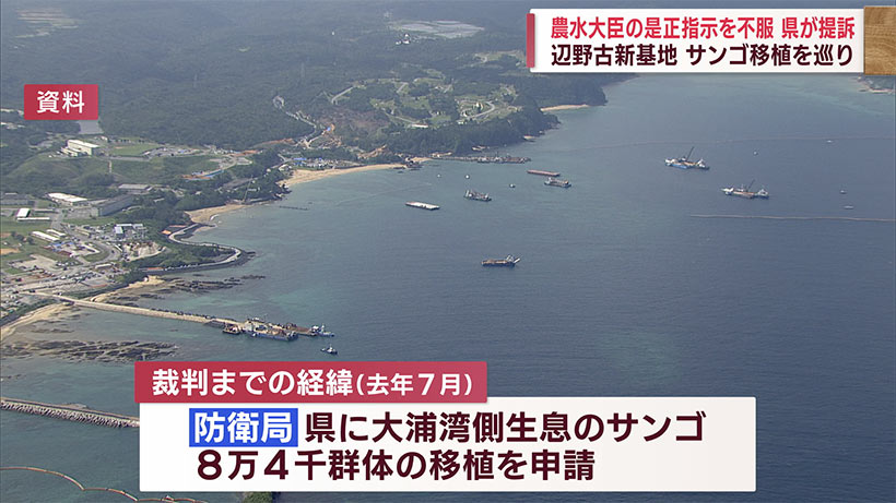 沖縄県、辺野古のサンゴ移植で国を提訴／移植許可の国指示の取り消し求める