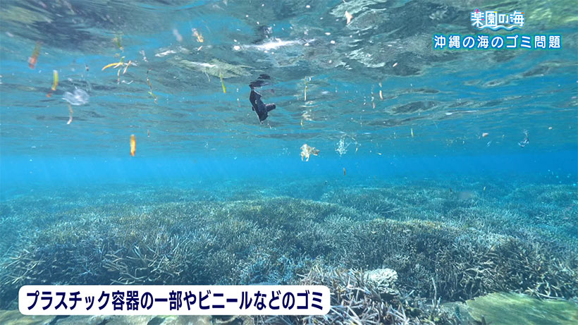 楽園の海　SDGs特集前編　〜沖縄の海のゴミ問題～