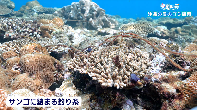 楽園の海　SDGs特集前編　〜沖縄の海のゴミ問題～