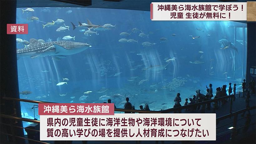 ビジネスキャッチー 美ら海水族館修学旅行や遠足の利用は無料に