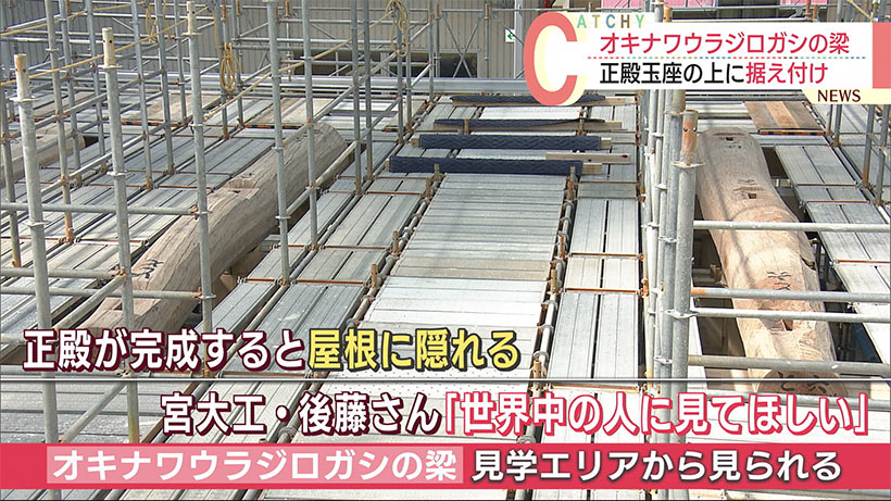 首里城正殿の復元　国頭村で切り出した「オキナワウラジロガシ」の巨大な梁を玉座の上に据え付け