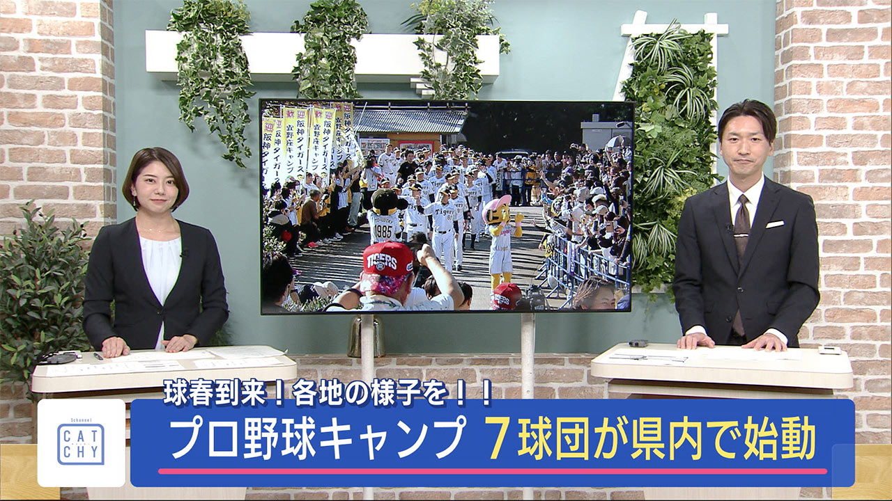 2024球春到来！　プロ野球キャンプスタート