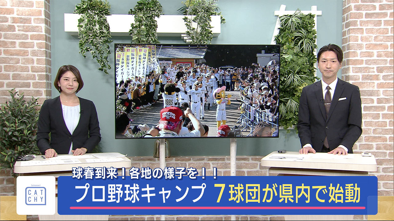 2024球春到来！　プロ野球キャンプスタート