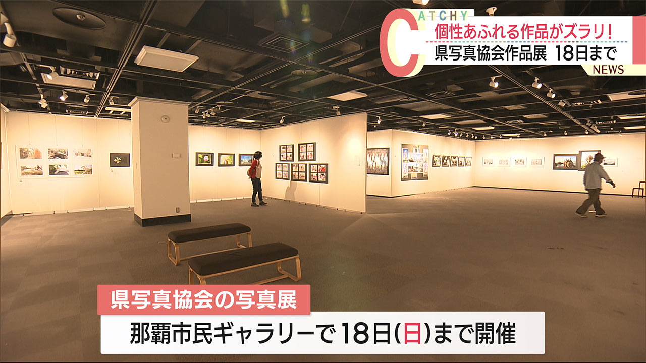 カメラマンの個性あふれる作品ズラリ！沖縄県写真協会の写真展