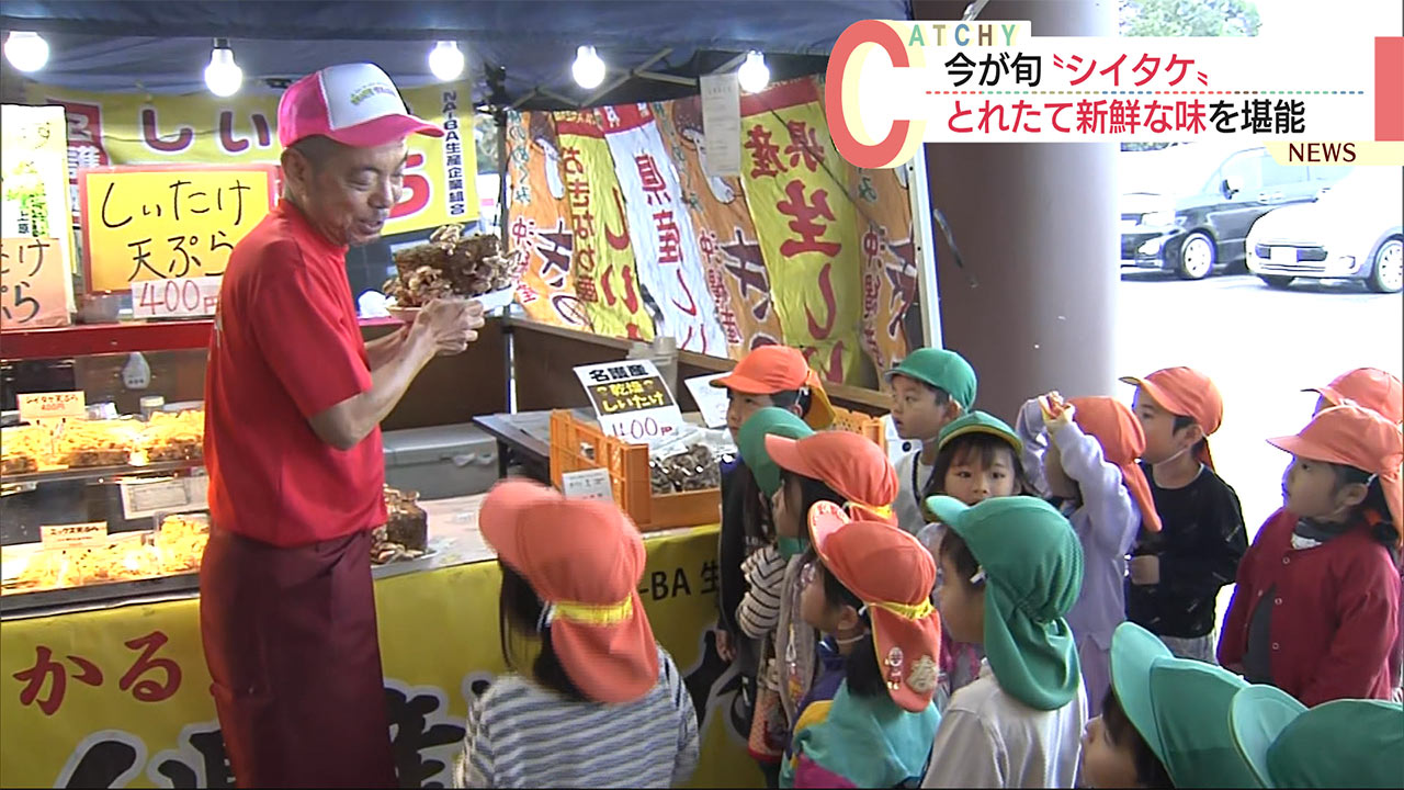 沖縄・名護市の子どもたちが堪能　今が旬「シイタケ」とれたて新鮮な味