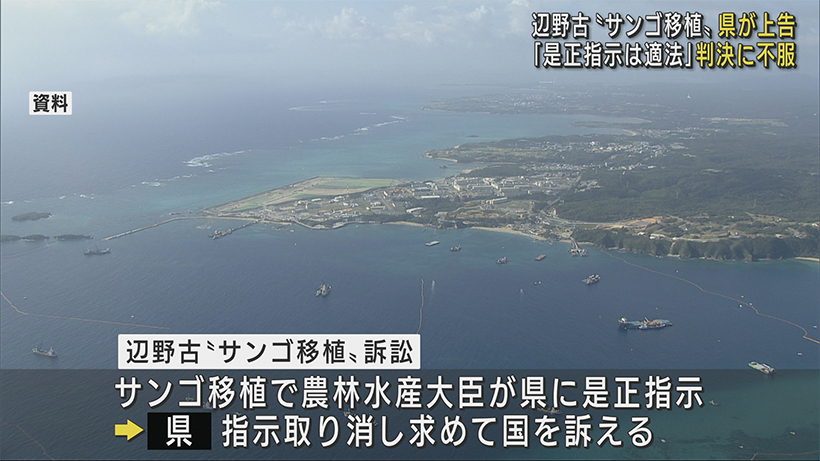 辺野古 "サンゴ移植"訴訟 沖縄県が最高裁判所に上告