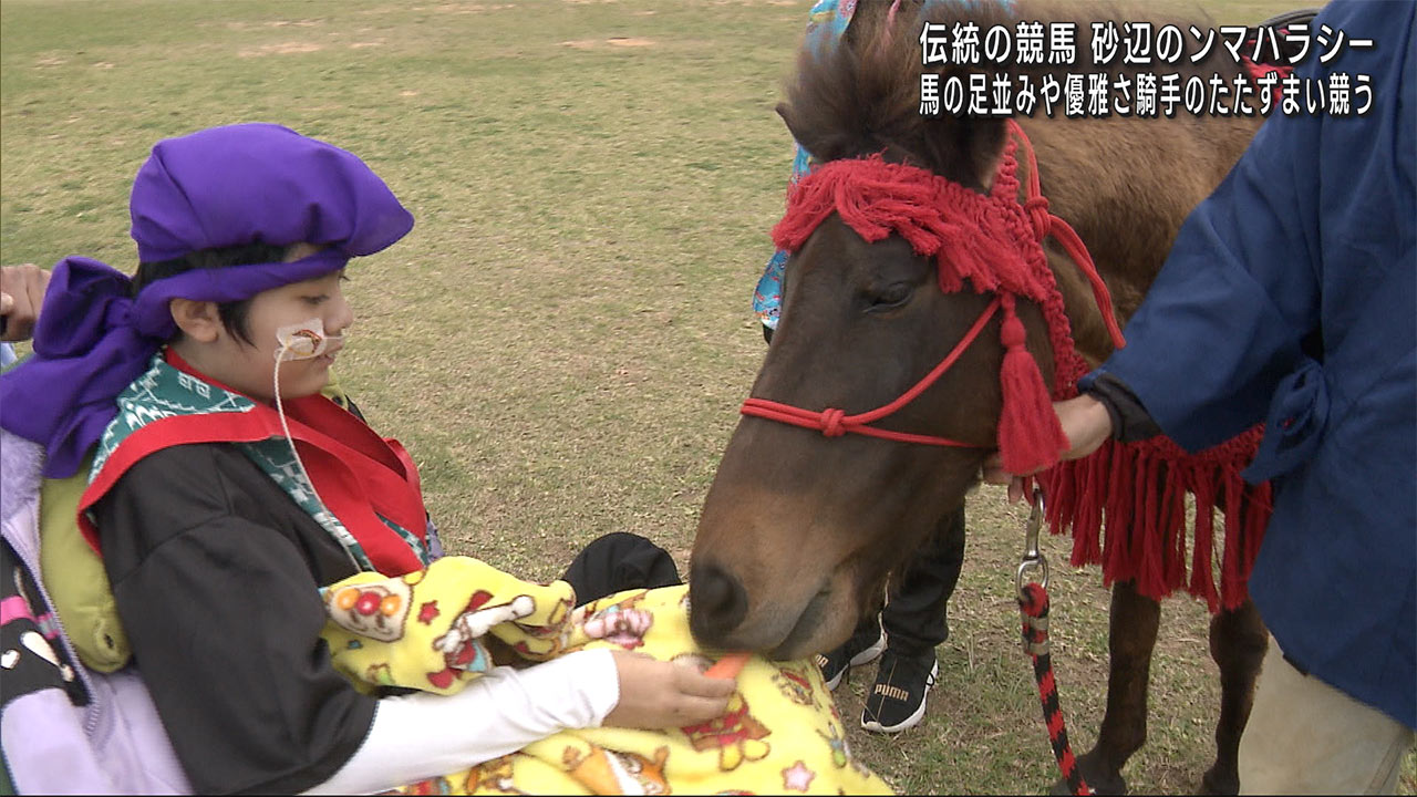 沖縄税理士会が無料相談会を開催