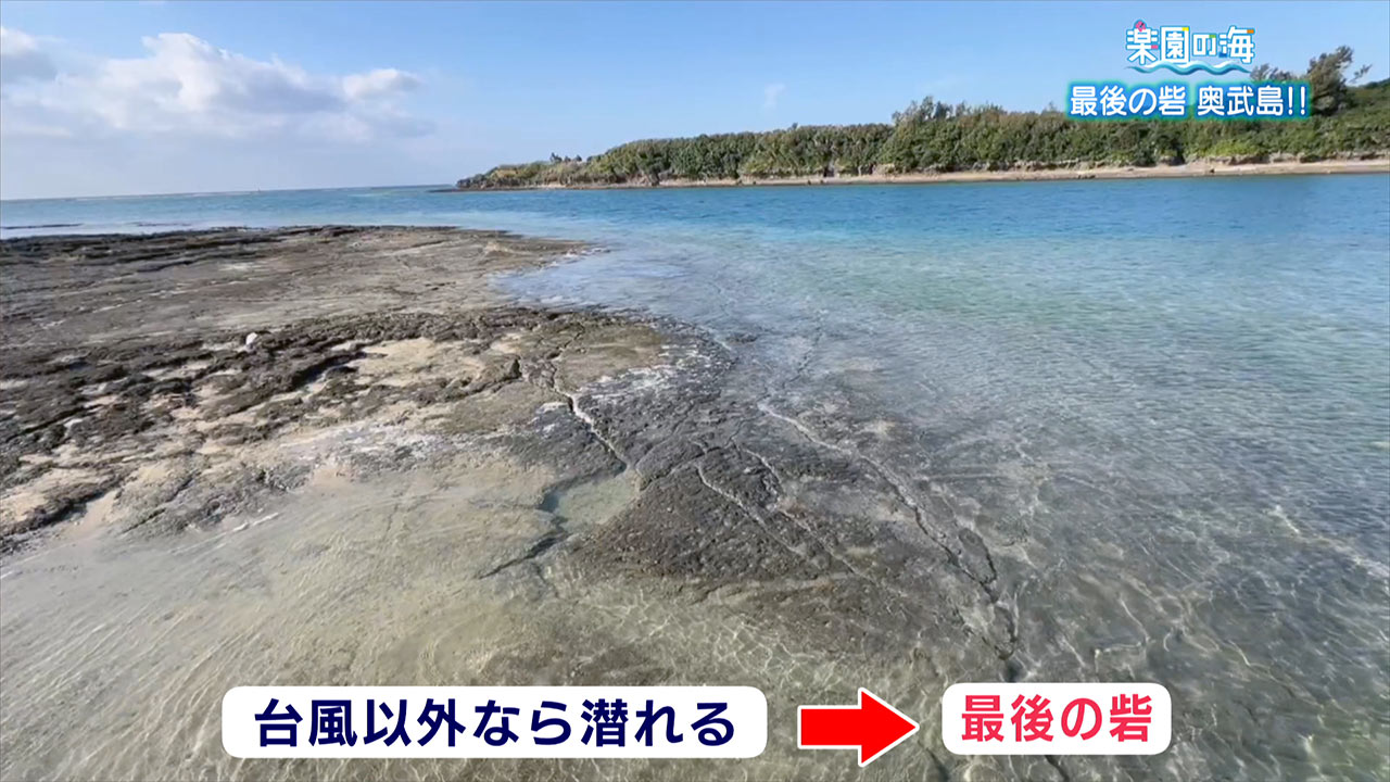 楽園の海「最後の砦　奥武島！！」