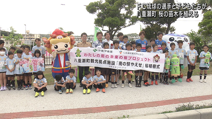 FC琉球の選手と子どもたちが桜の苗木を植える