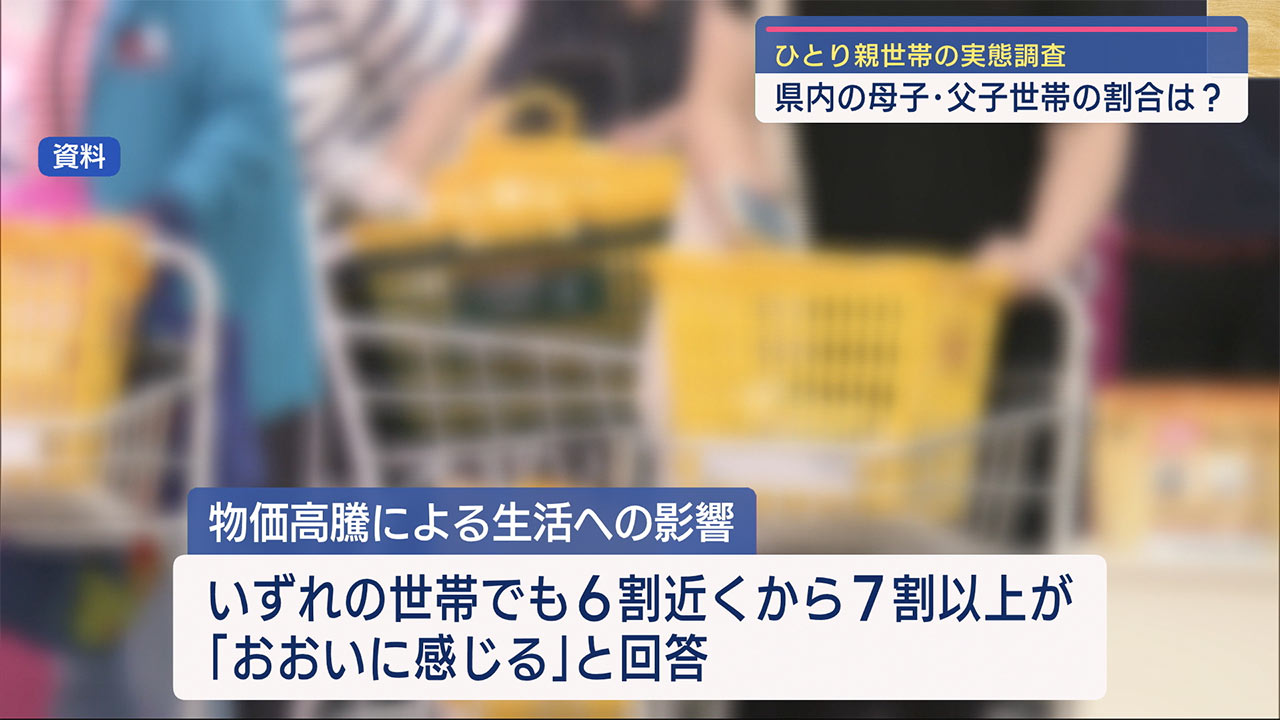 ひとり親世帯等実態調査　母子・父子世帯の割合は全国の約２倍　ビジネスキャッチー