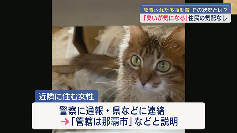 放置された多頭飼育 その状況とは