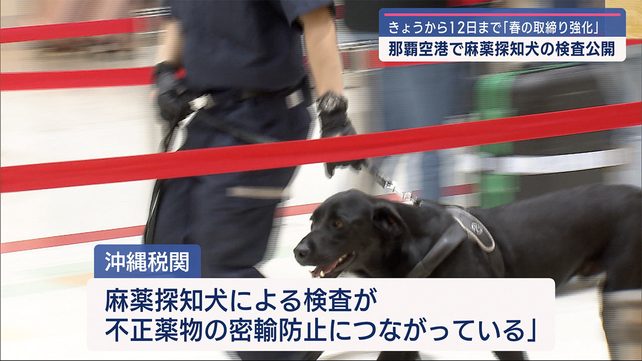 麻薬探知犬の検査状況を公開