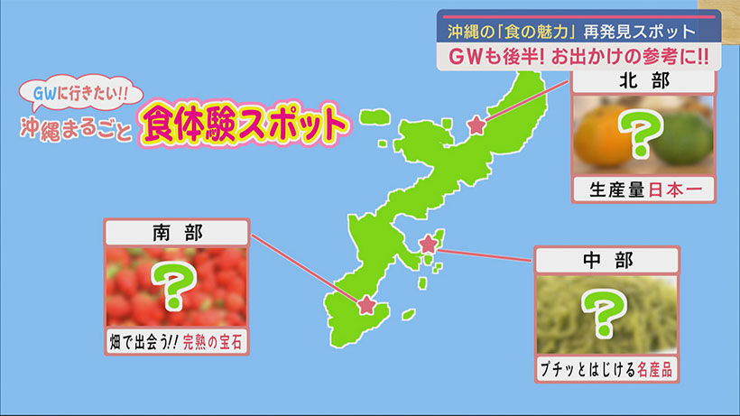 GWに食体験はいかが？本島南部・中部・北部のおすすめスポット