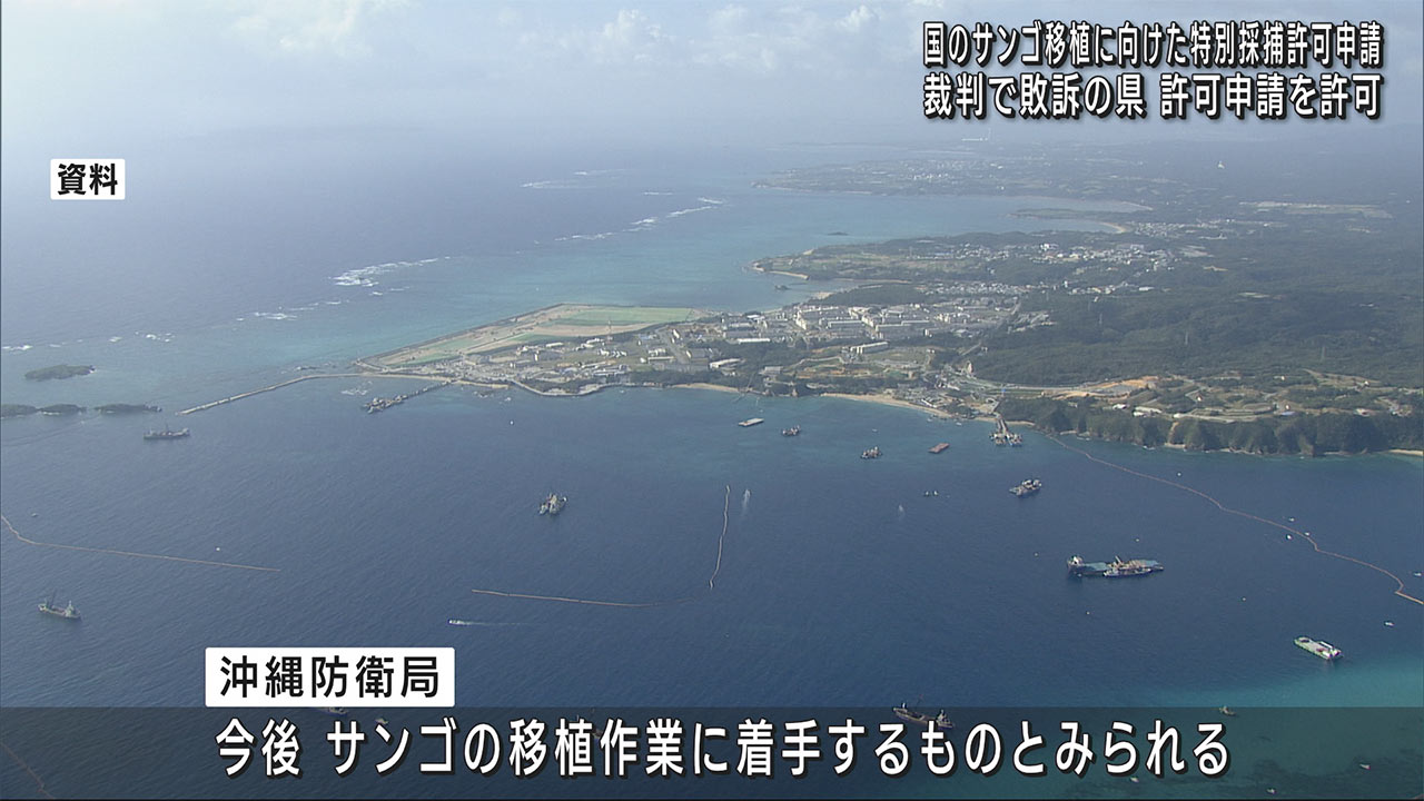 辺野古のサンゴ特別採捕申請を県が許可