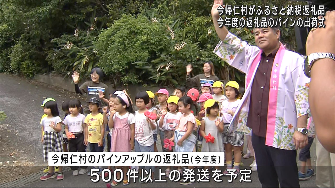 ふるさと納税　超甘くて最高！！今帰仁村のパイン出荷式