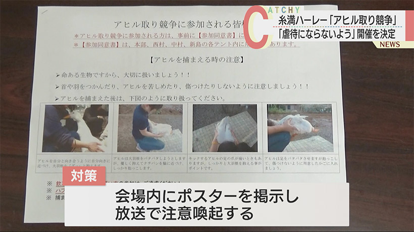 糸満ハーレーのアヒル取り競争　虐待ならないよう注意して実施へ