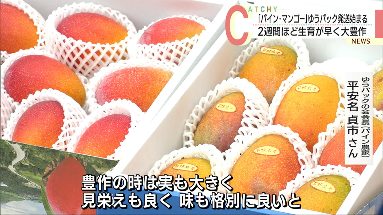 パイン・マンゴー　ゆうパック取扱い開始