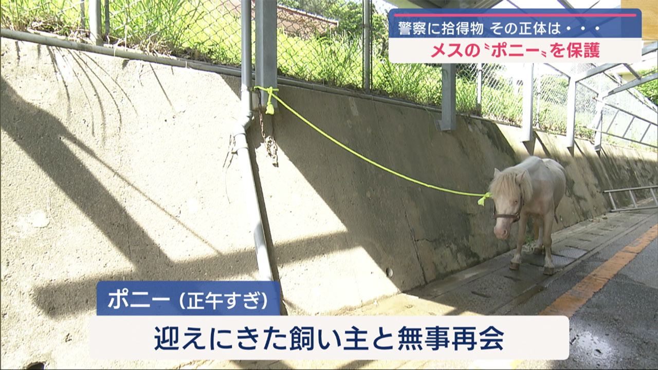 警察に拾得物　その正体は？