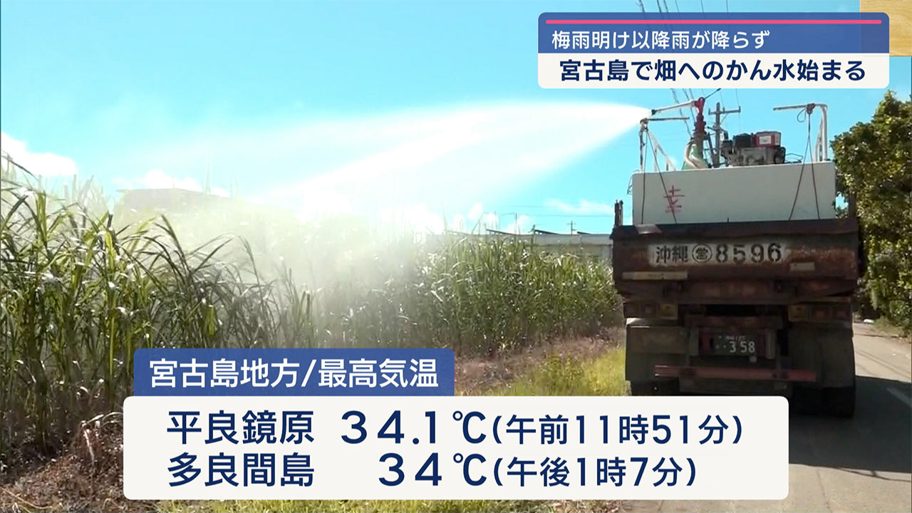 宮古島でかん水始まる