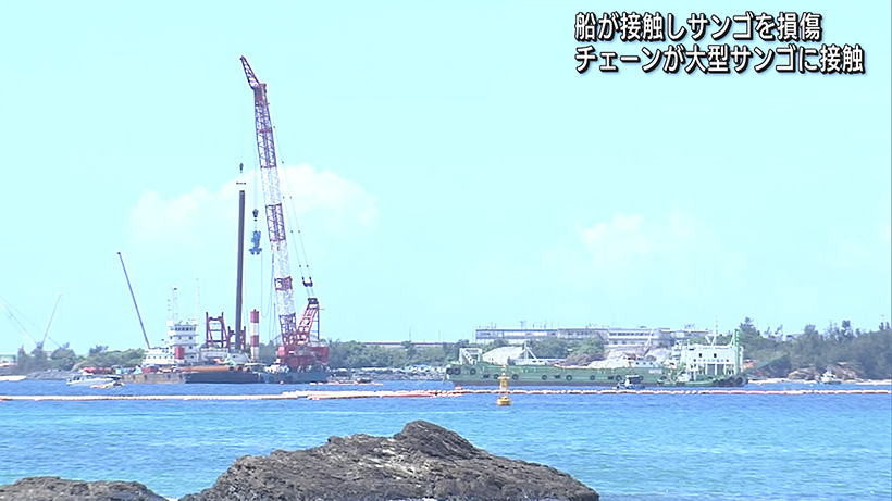 損傷のサンゴ「修復の可能性」 防衛局、環境監視委に説明