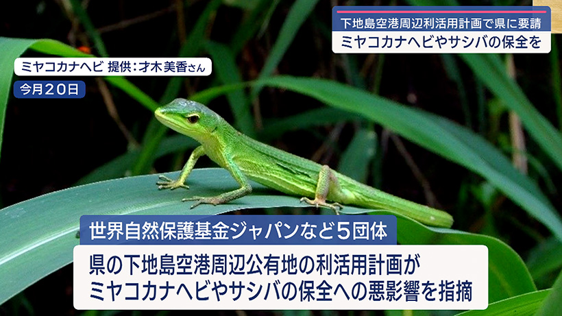 宮古諸島の稀少な野生動物の保全を 下地島空港の利活用計画巡り県に要請
