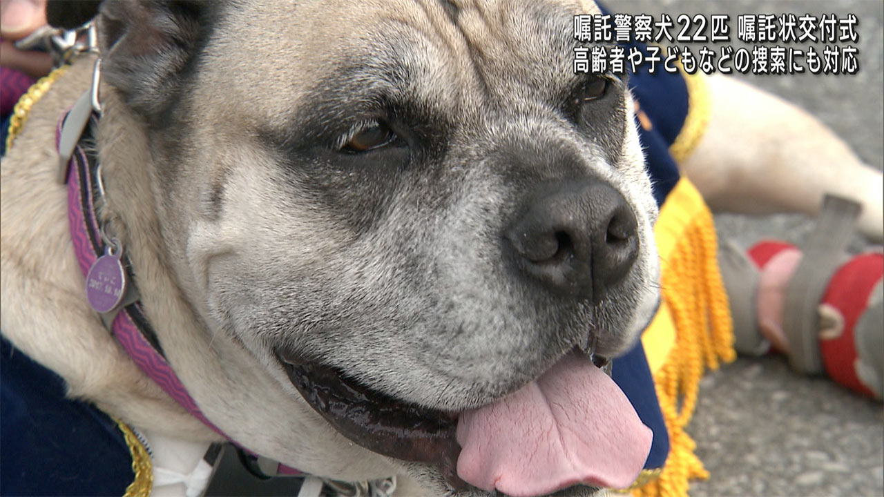 地域捜索担う　新たな嘱託警察犬に嘱託交付式