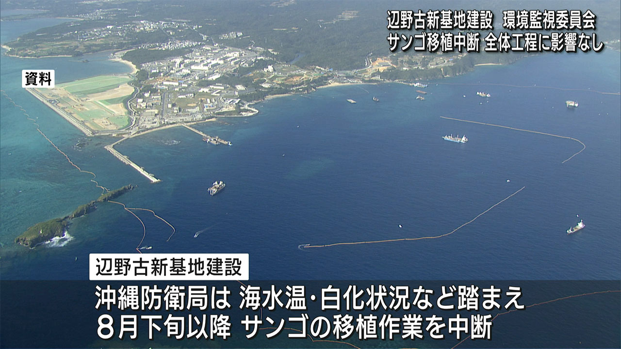防衛局「サンゴ移植中断、全体工程に影響なし」