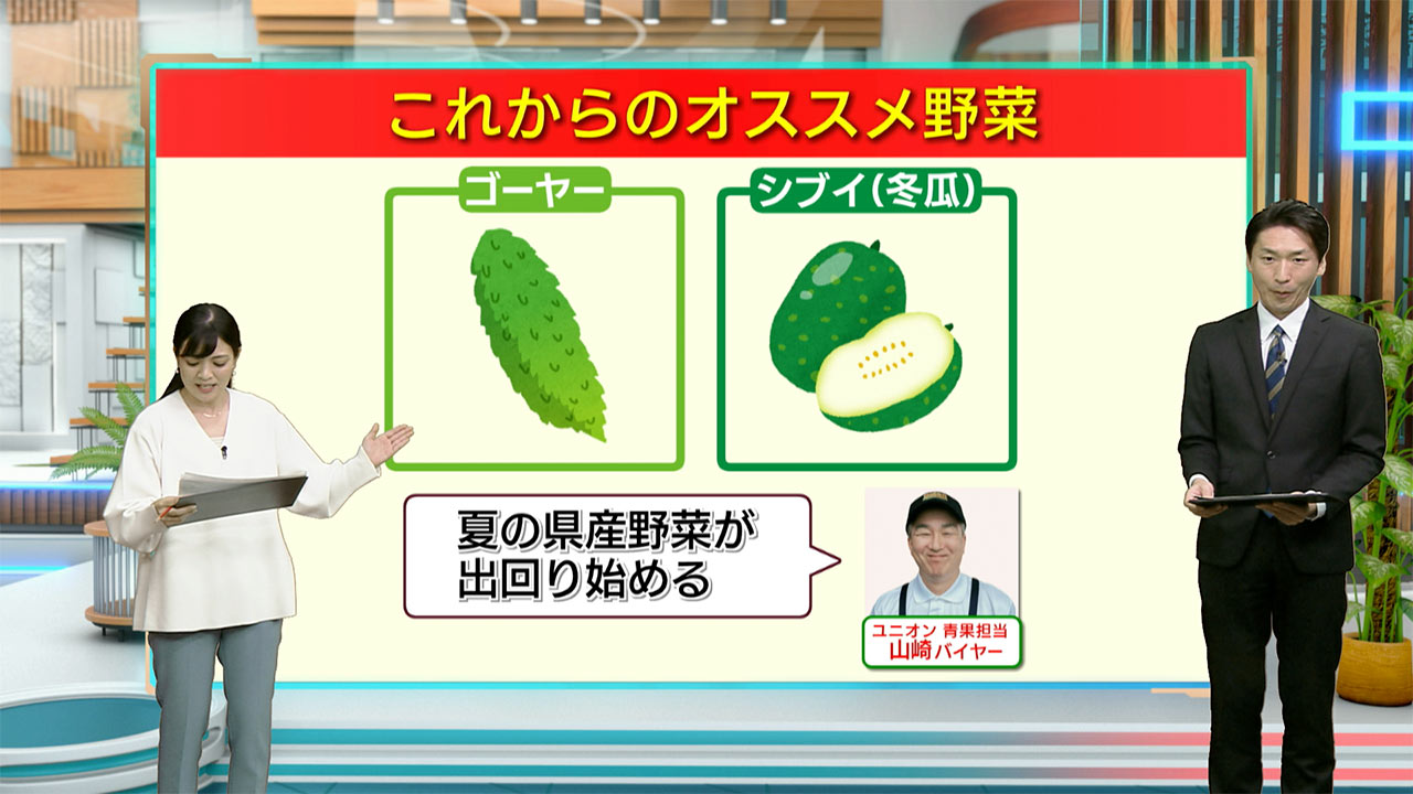 今週の青果通信／ビジネスキャッチー