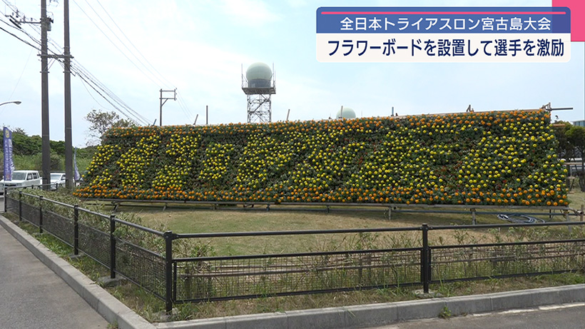 全日本トライアスロン宮古島大会の開催を前にフラワーボード設置