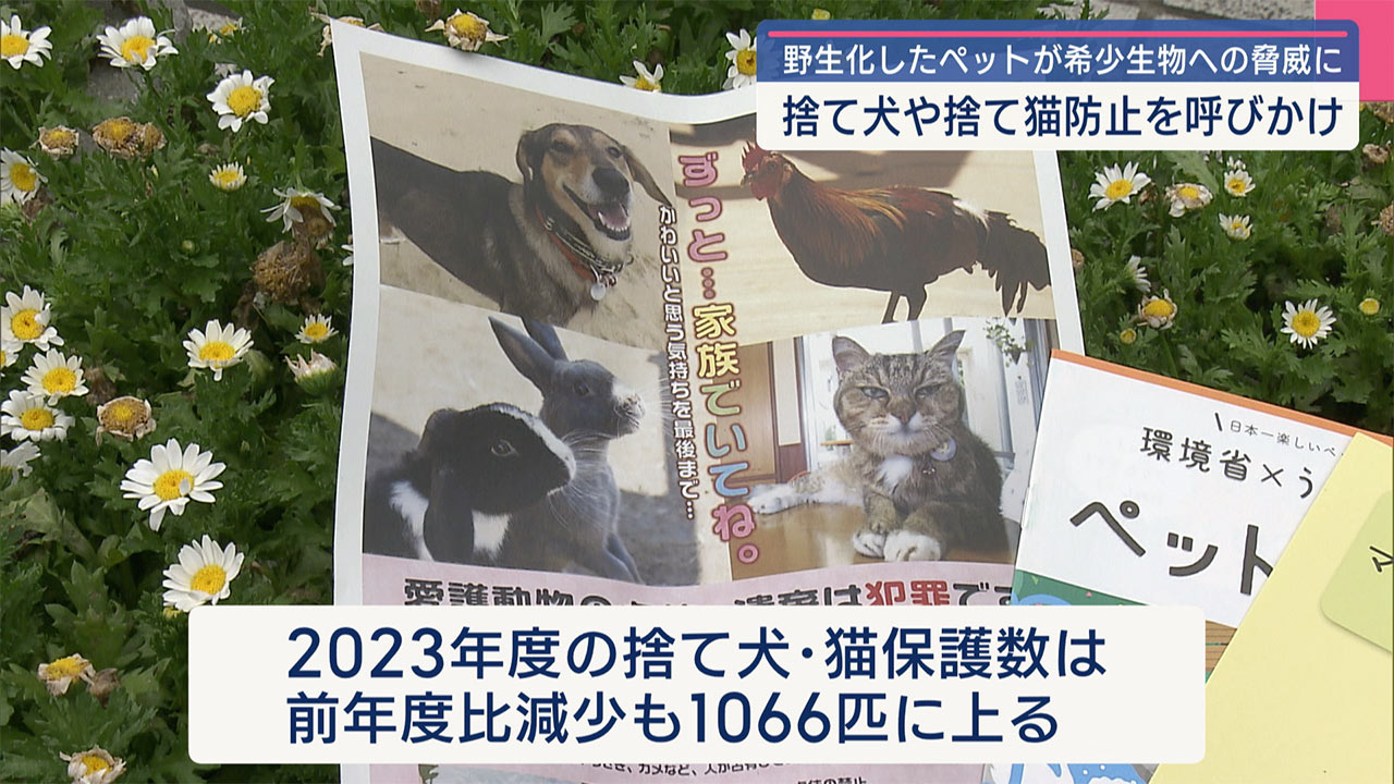 捨て犬捨て猫防止キャンペーンで啓発活動