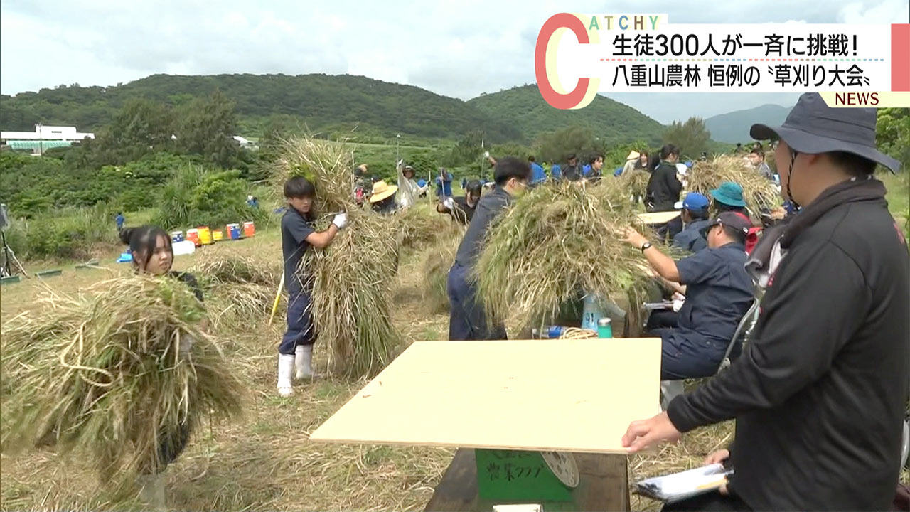 速報　日米、県など「フォーラム」開催へ／米兵性暴力事件受け／在日米軍司令部が発表／来月９日
