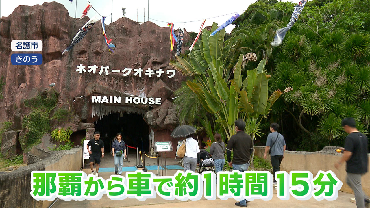 GWおすすめスポット 本島北部編