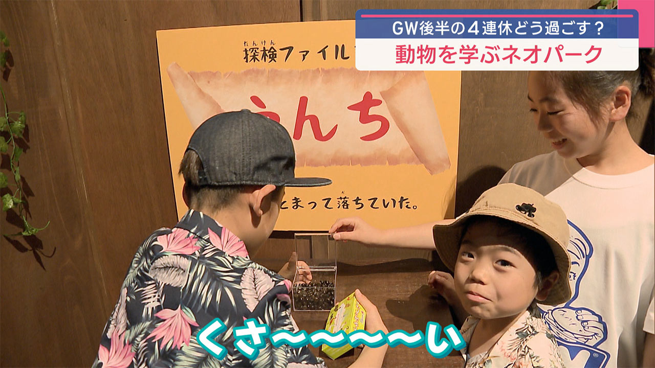 GWおすすめスポット 本島北部編