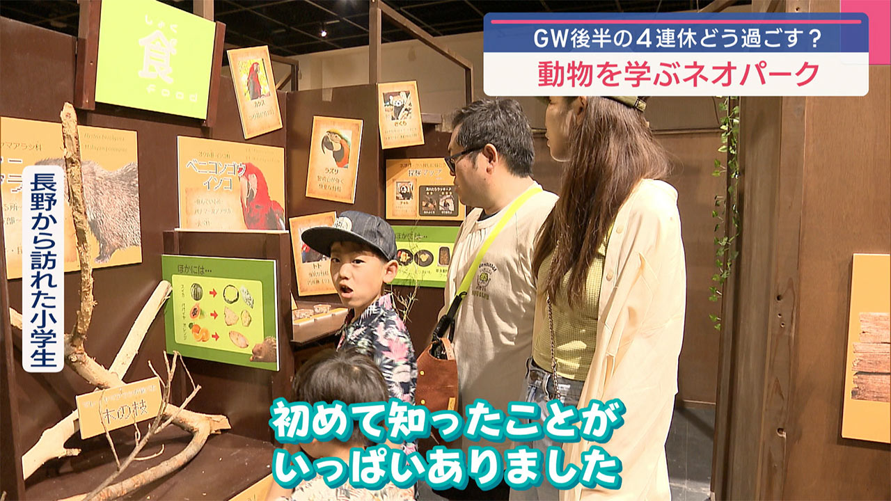 GWおすすめスポット 本島北部編